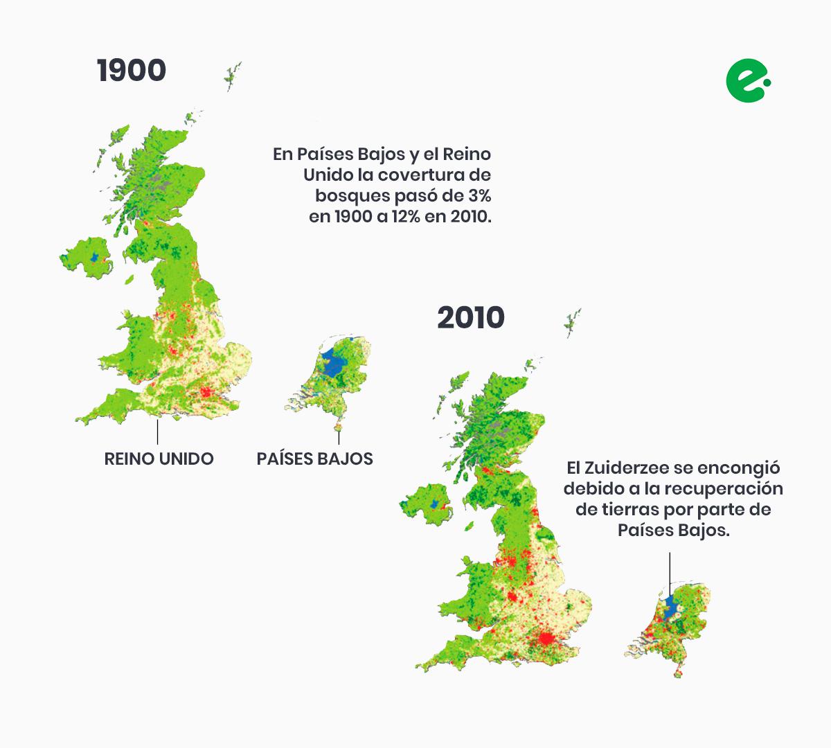 recuperacion-bosques-reino-unido-holanda