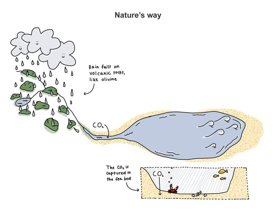 natures-way-for-carbon-dioxide-removal-carbon-cycle-inorgnaic-longterm-carbonate-silicate-1400x1078-1
