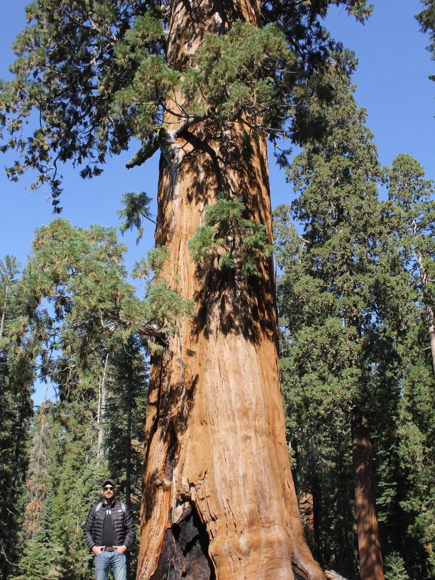 27H6YZIZVZGXBNFTI2U546MIYY