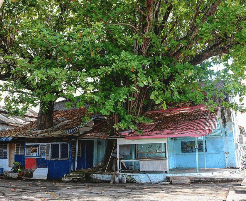 Captura-de-Pantalla-2020-06-26-a-las-13.49.34