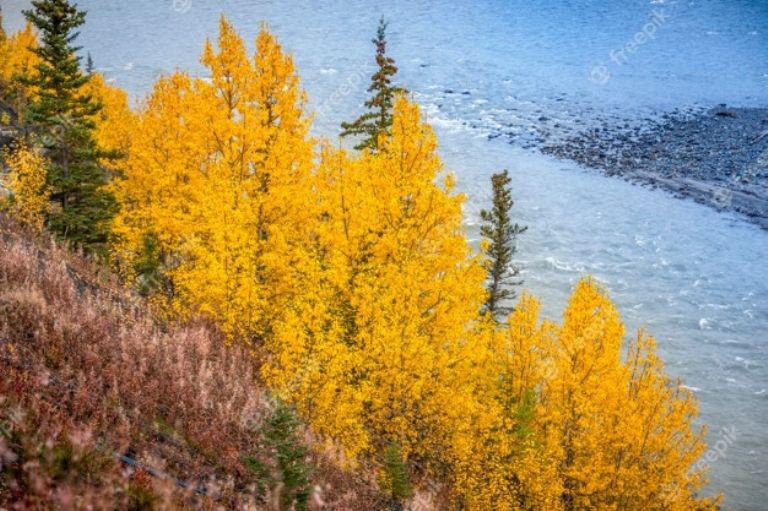 f768x1-1083007_1083134_15