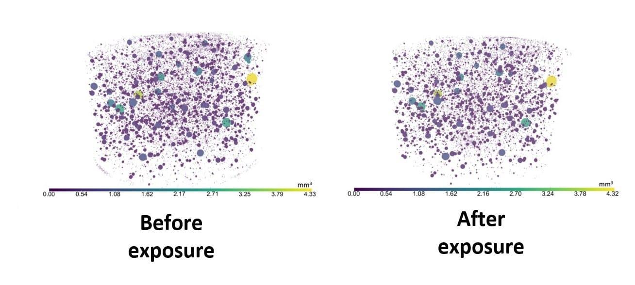 Purdue-University-hormigon-3