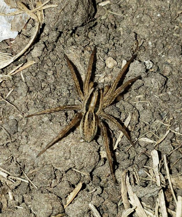 ciencia-2-web_5OtoMGm_1192w