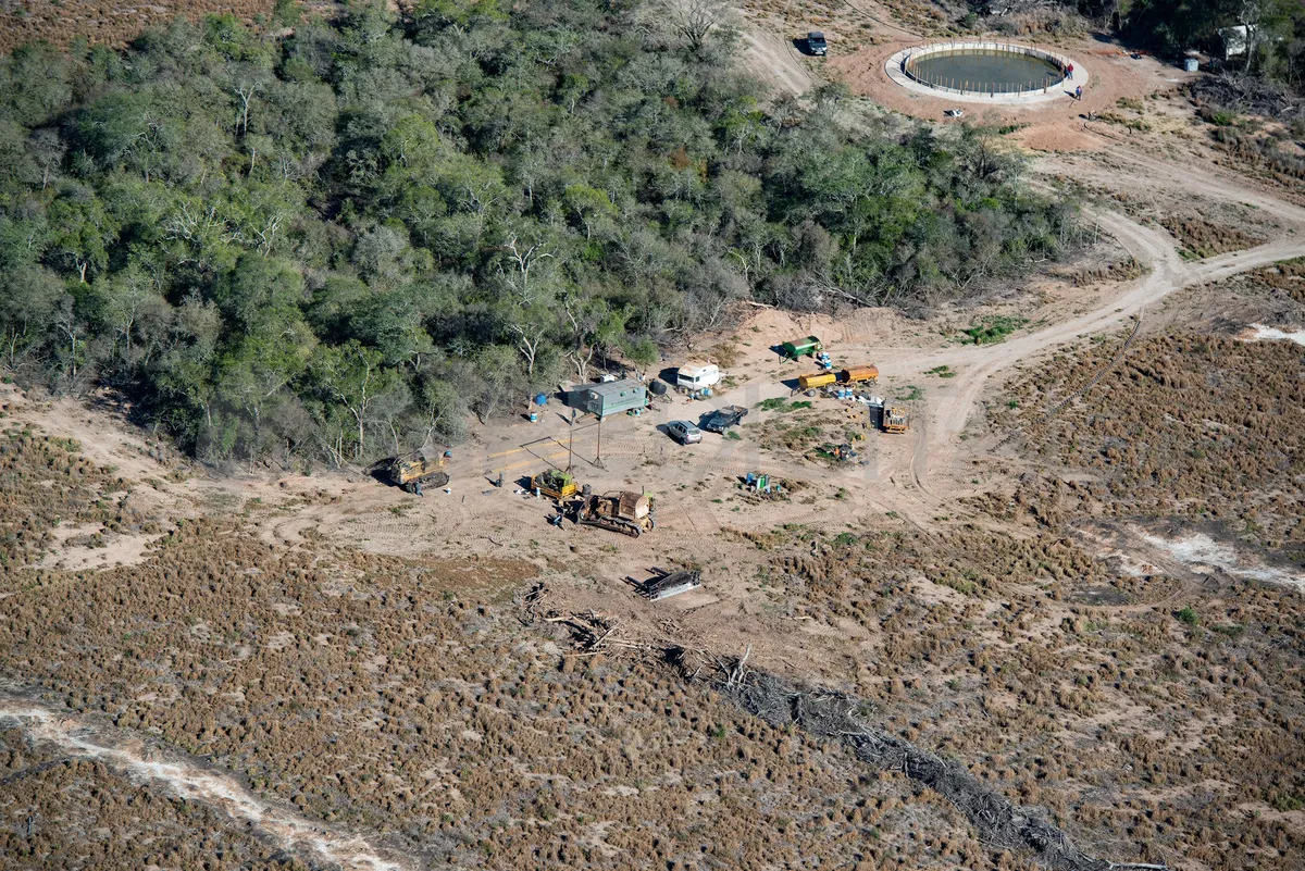 el-norte-argentino-es-la-region-la-que-mas-avanza-la-deforestacion-sembrar-pasturas-ganaderas-o-cultivos-agricolas-como-la-soja