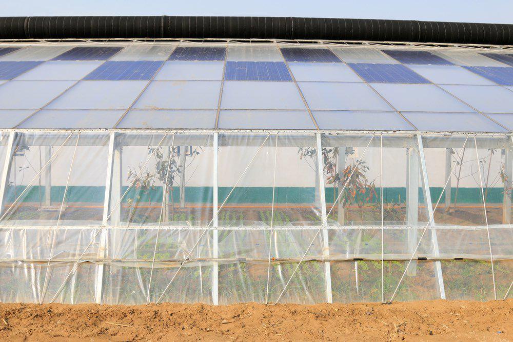 Invernadero-solar1