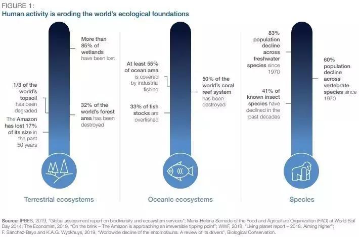 responsive_large_webp_MRUTMTM3j9PQ0hQRd_xyZms-dcND-kjjCCmcKlpVrh8