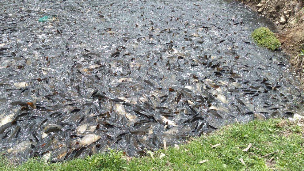 GRZKEVJGUZE3HJ33KGMBJOK7FI