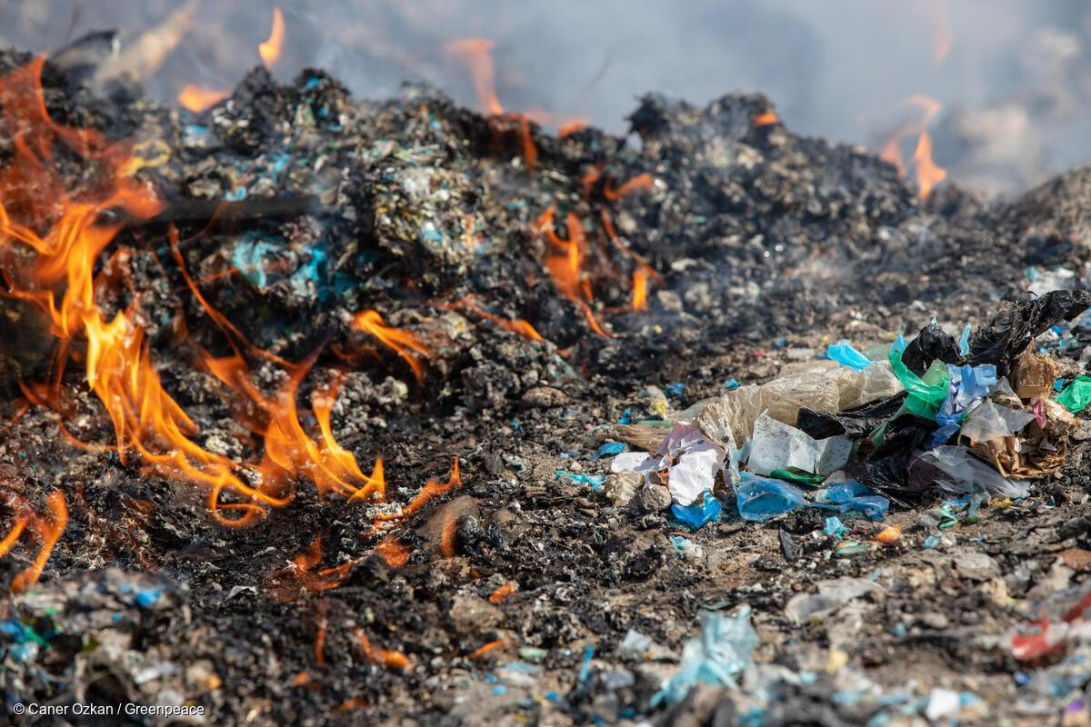 6bdab342-gp1suzz2_medium_res_with_credit_line