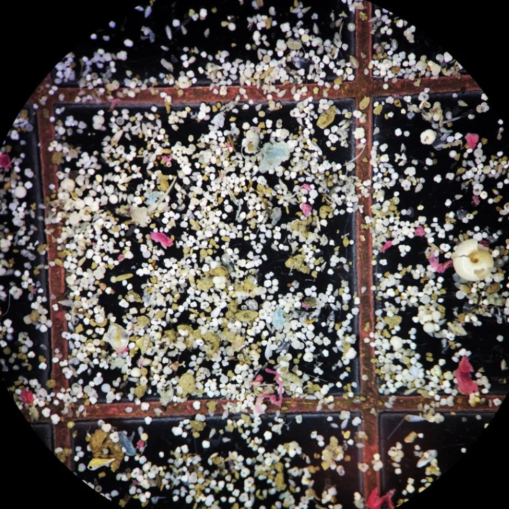 2UAGXUMOEBC5XJIUHZFKEVNIQ4