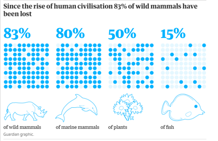 11c77a_a91924096b5146918bbc4818c66b190f_mv2