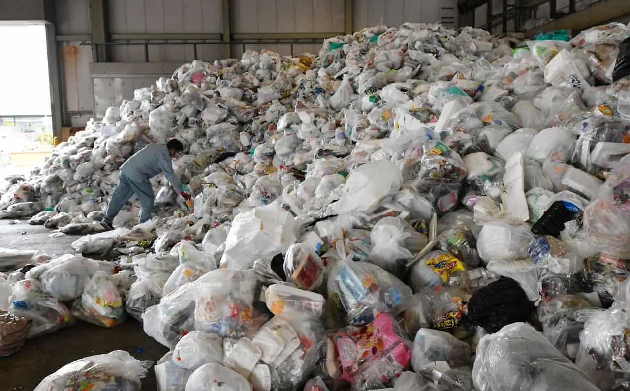 los-efectos-de-la-pandemia-en-el-medio-ambiente-6