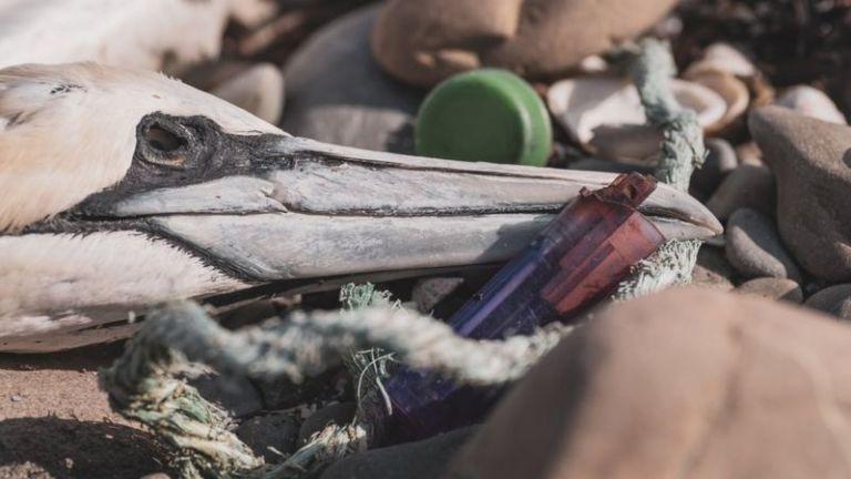 f768x1-996580_996707_0