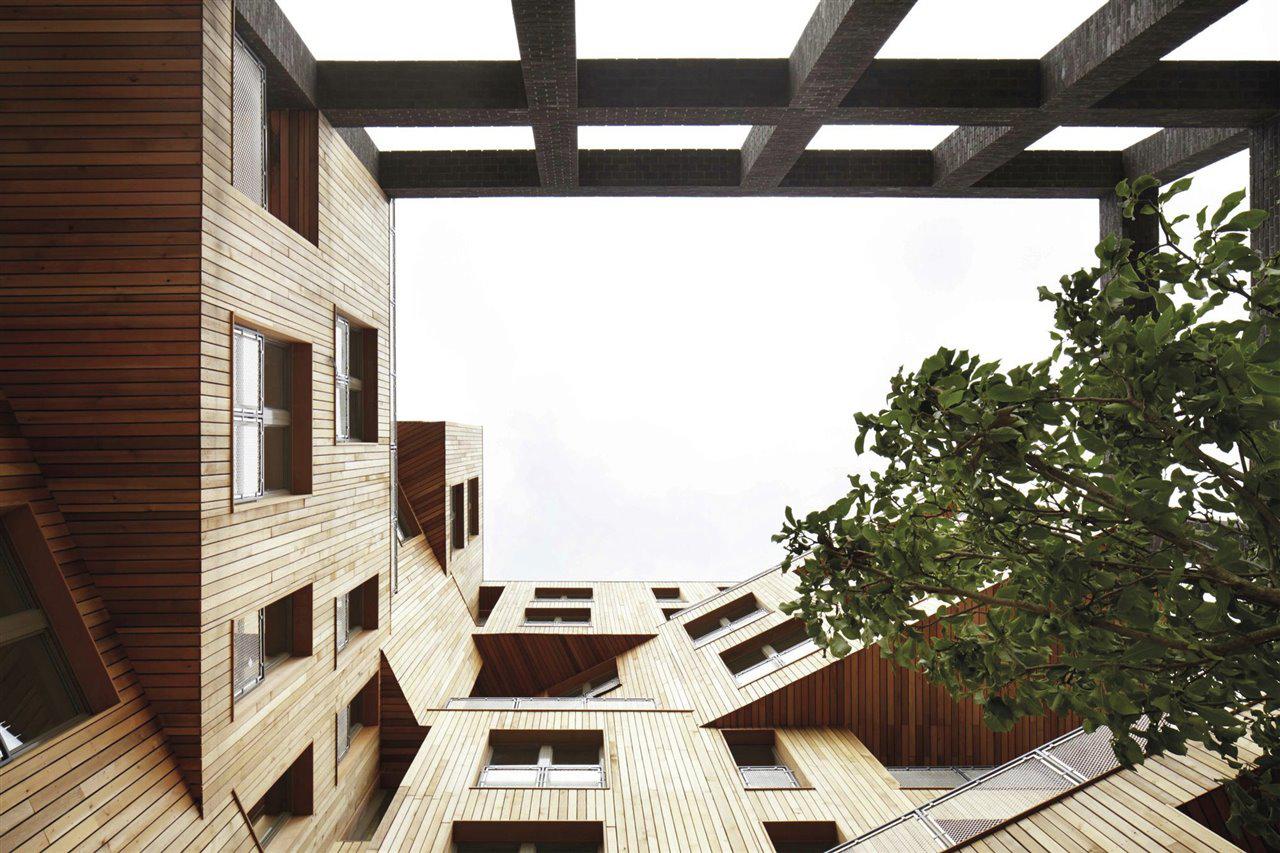 brownhawking_2a88d614_1280x853