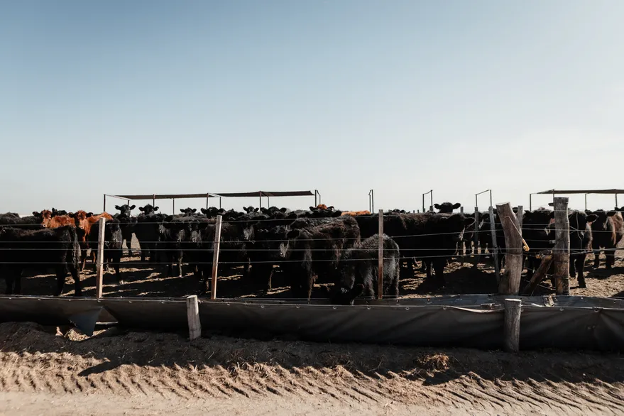 P2NCBVOAQFA7VHRQVUQNS2W3SM