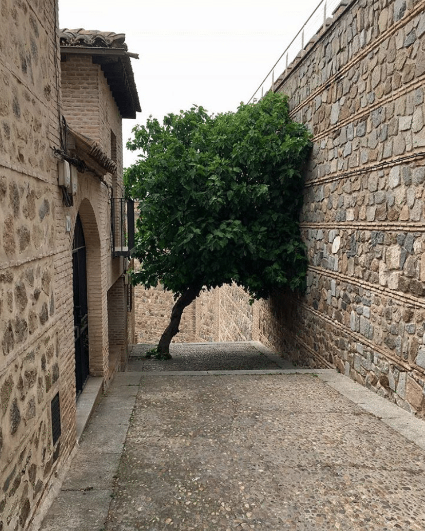 Captura-de-Pantalla-2020-06-26-a-las-13.50.04