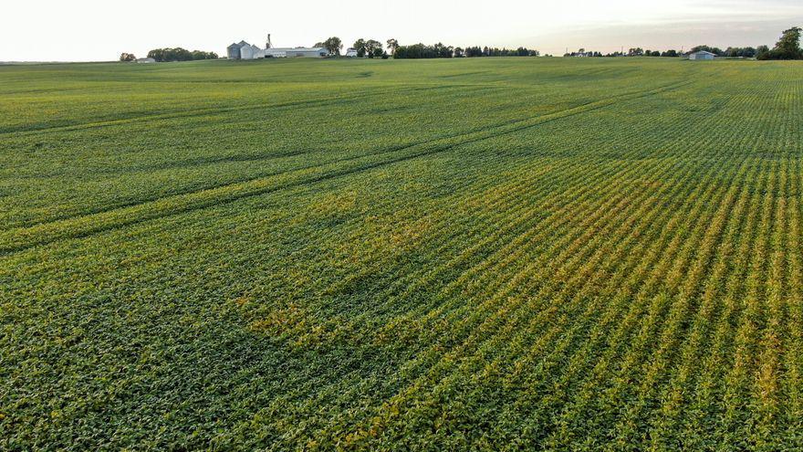 5fa22f8a-df01-4534-b39f-a569b40a2b55_16-9-aspect-ratio_default_0