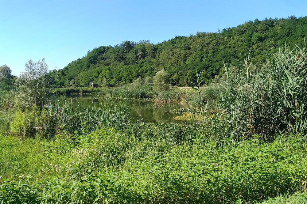 8-Gorla-Maggiore-Water-Park-Italy-treatment-wetland-treatment-of-CSO-wastewater
