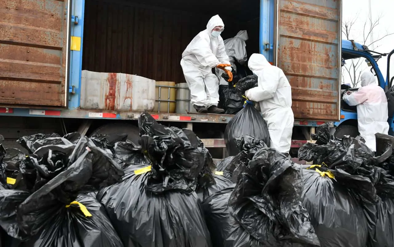 los-efectos-de-la-pandemia-en-el-medio-ambiente