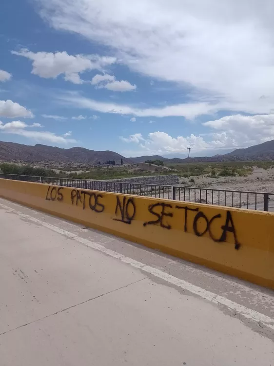 multimedia.grande.8cb2423ea7069fe1.494d475f32303232313231395f3135303532345f6772616e64652e77656270