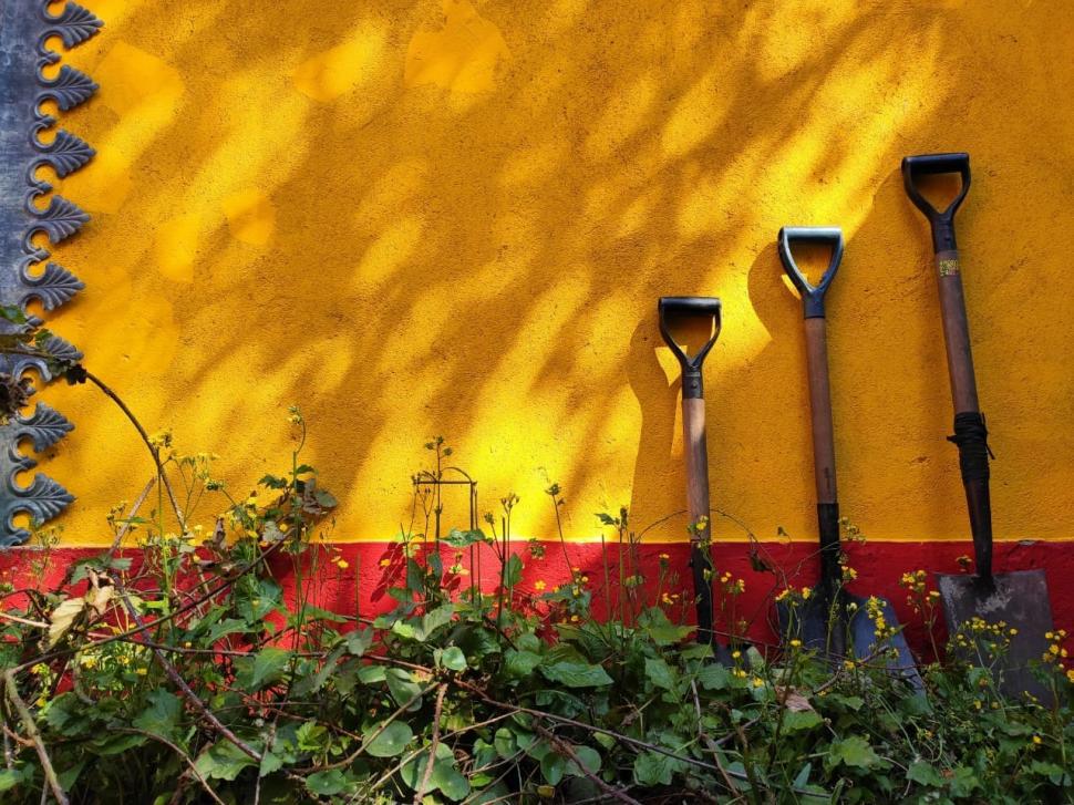 869341_202011171905200000004