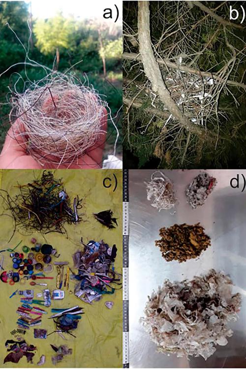 F3MOHEUWRVE53ILRT2NSCT4KEU