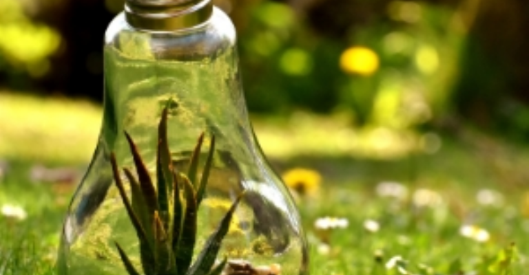 f768x400-1084185_1128088_5050