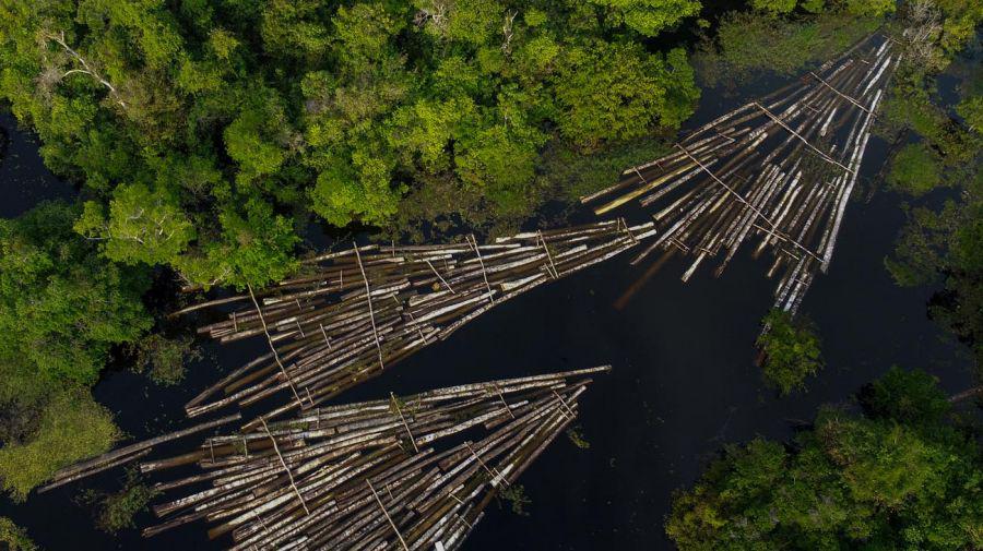 deforestacion-en-el-amazonas-20211119-1272840