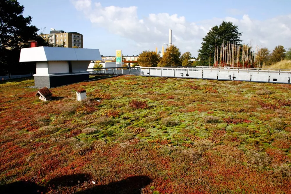 4-Green-roofs-nature-based-solution-treating-domestic-wastewater