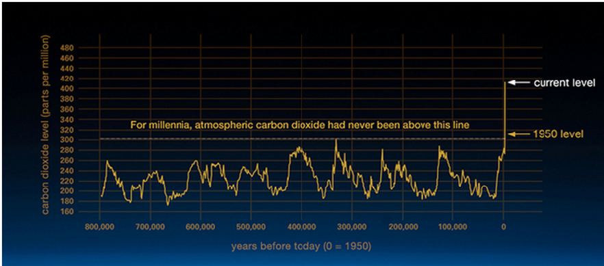 11c77a_a14c8f202b3b4ce8a83a77031b664536_mv2