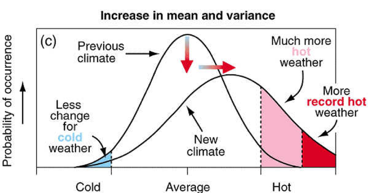 file-20210112-13-wzf202