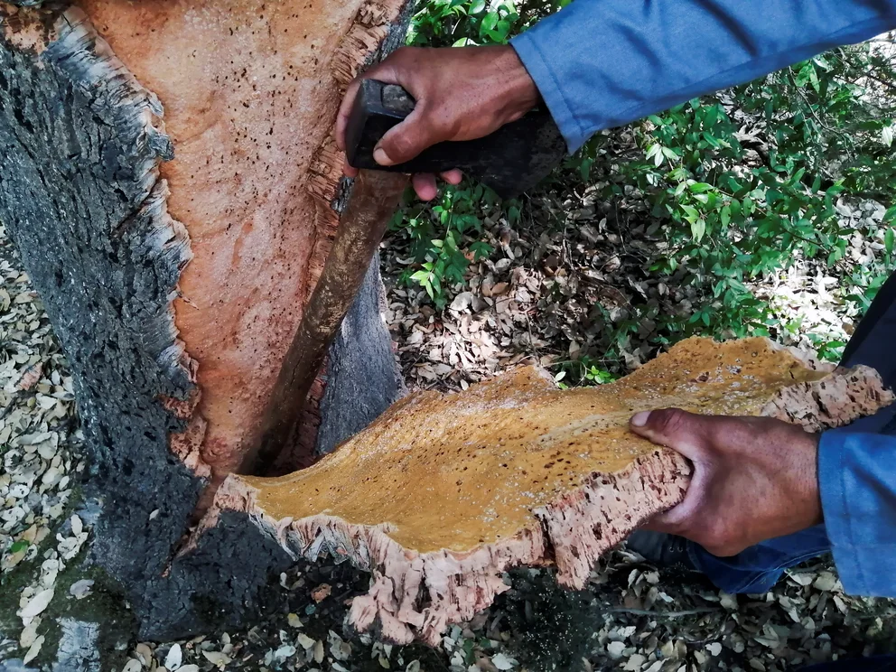 WONBYWJ2QGIPKSHW4UU6X3OWVA