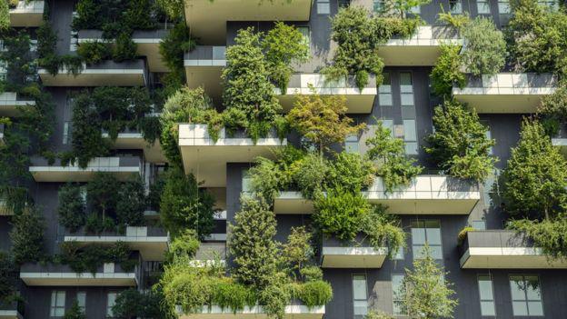 _112100947_gettyimages-1128432732