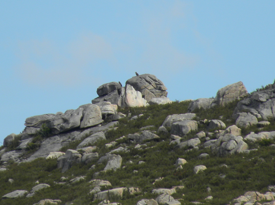 captura-de-pantalla-2022-04-21-a-las-23.17.27