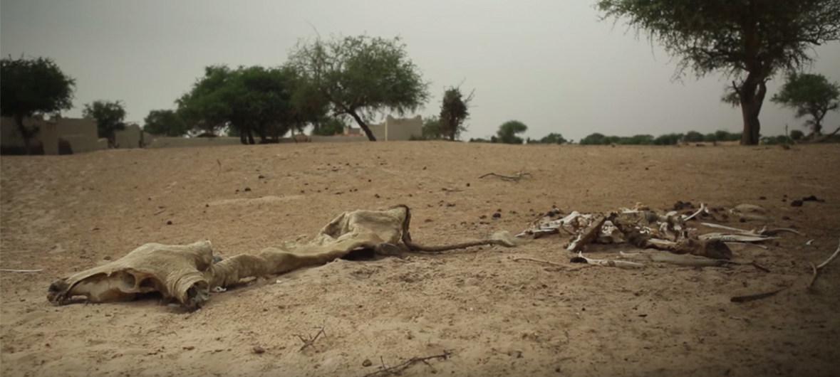 image1170x530cropped (2)