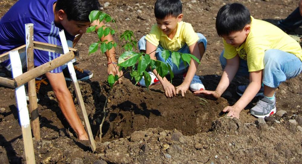 filipinas-reforestacion2-1-1