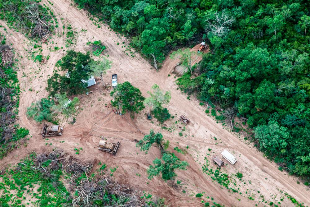 el-desmonte-esta-detenido-pero-las-gruas-continuan-en-las-fincas