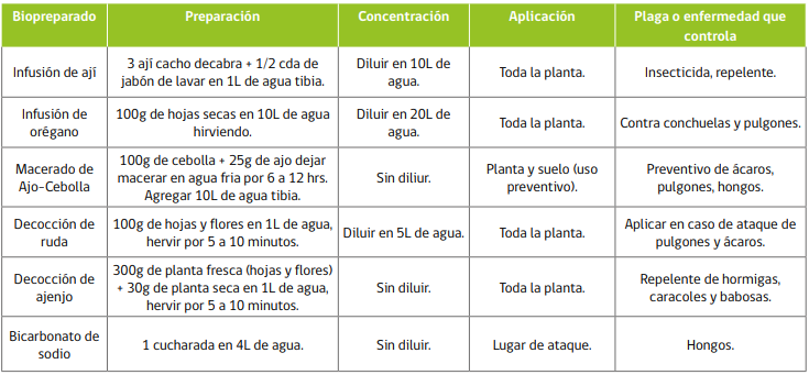 5bc34920-huertasurbanas1