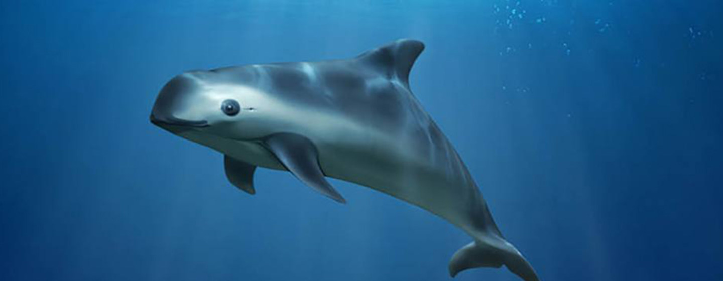 image1440x560cropped (2)