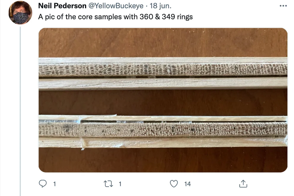 E2QQEQIY5FESDNFAWA53T7HCTE