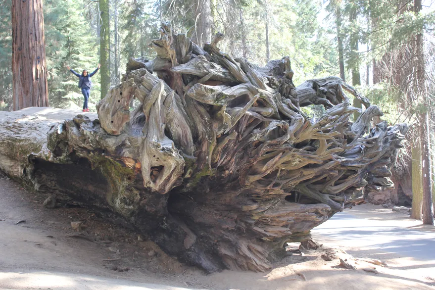 XWSE7OEBYNBHHLOJZDLHPJ7P6I