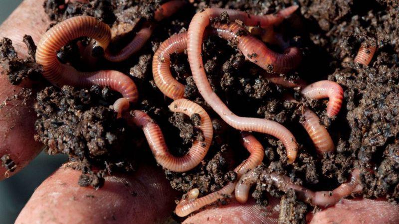 _110006595_gettyimages-921684236