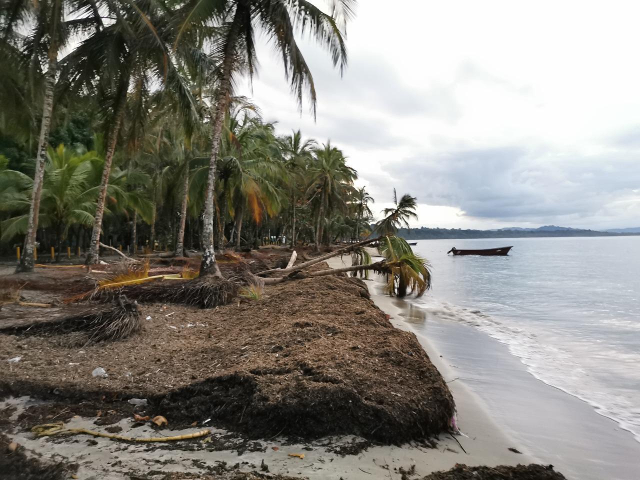 8d86c770-d852-4b40-b6d9-b2cdf34da306