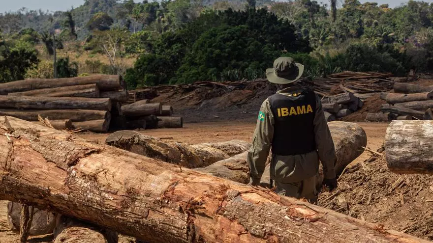 9a2140e8-5f30-4a1d-a83b-2708c2ac422a_16-9-aspect-ratio_default_0