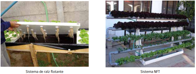 cec9d57a-huertasurbanas122as