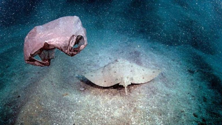 f768x1-996579_996706_0