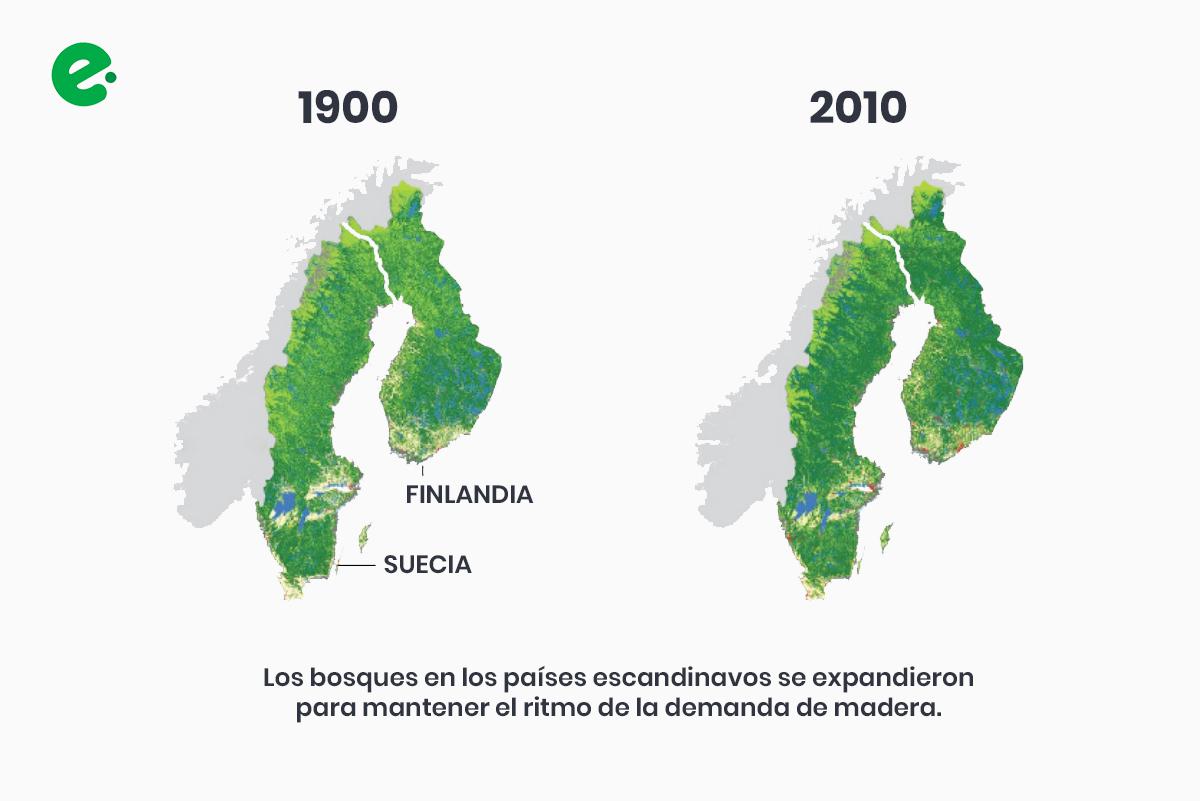 recuperacion-bosques-suecia-finlandia