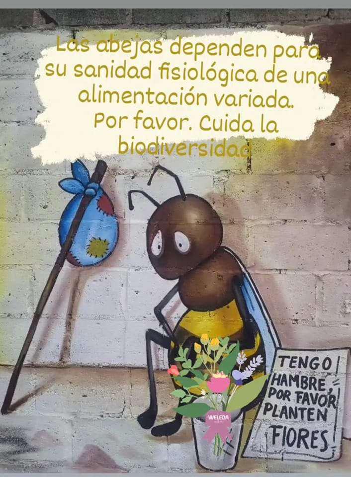 por-favorsiembra-flores