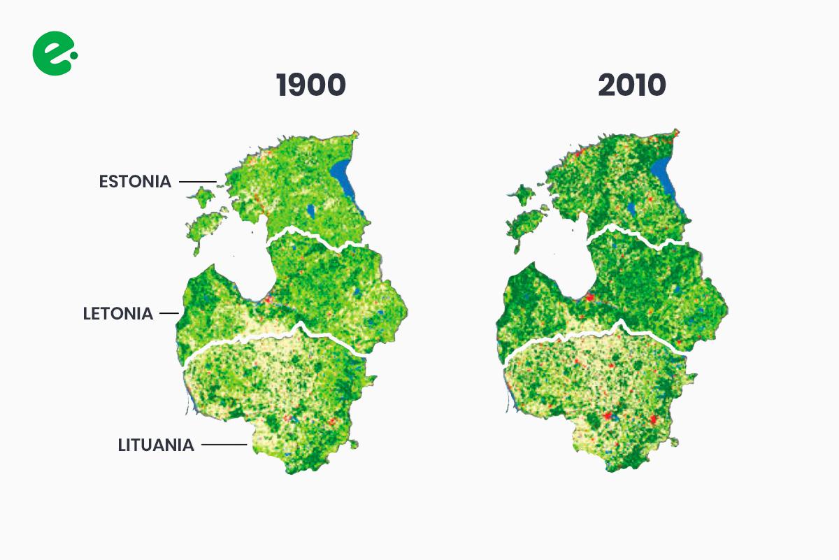 recuperacion-bosques-estonia-letonia-lituania