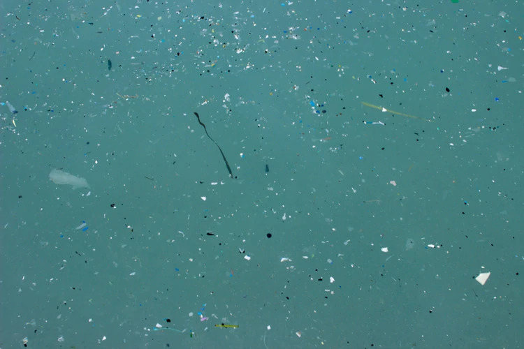 G3F2ROKUKJFHBOTSSKOUVLOHSM