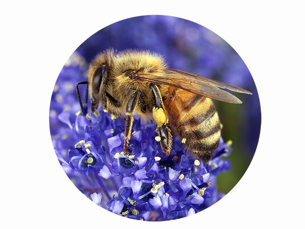 57DS2O4DYVGMPLBNH76TFOPJNM